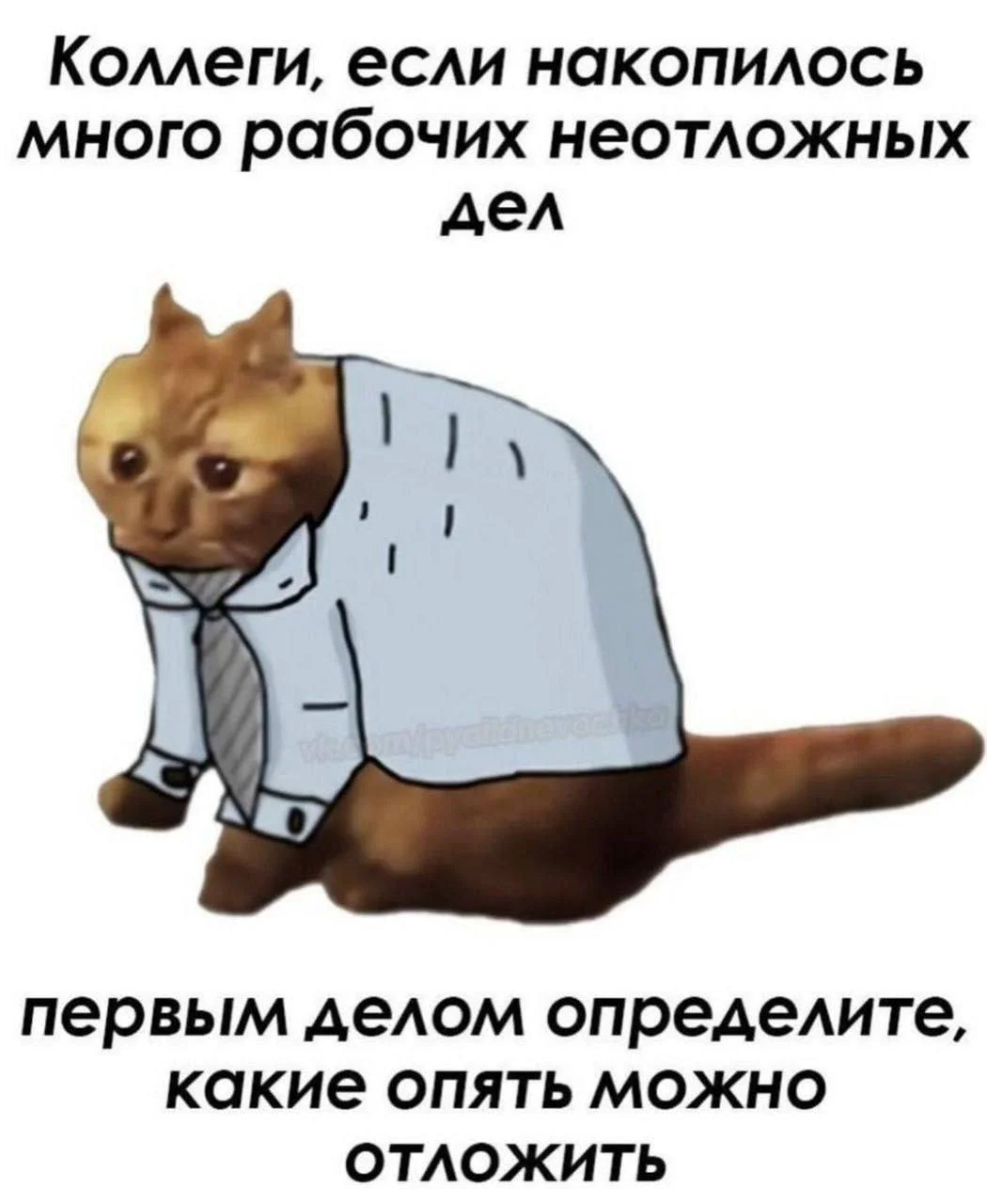 Совет вам на завтра