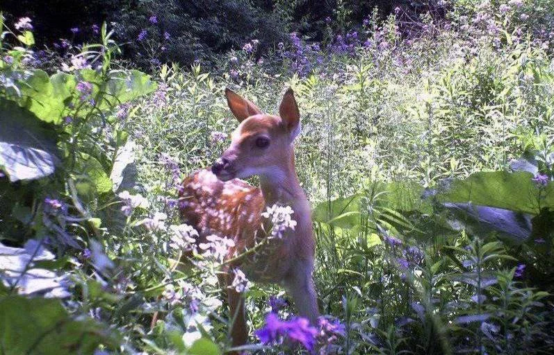 Предлагаю предаться ностальгии и вспомнить, как ощущалась жизнь до первого тр...
