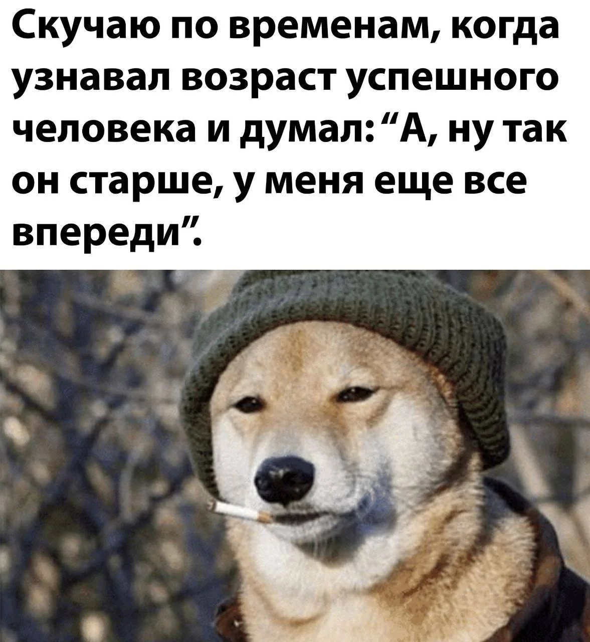 Доброе!