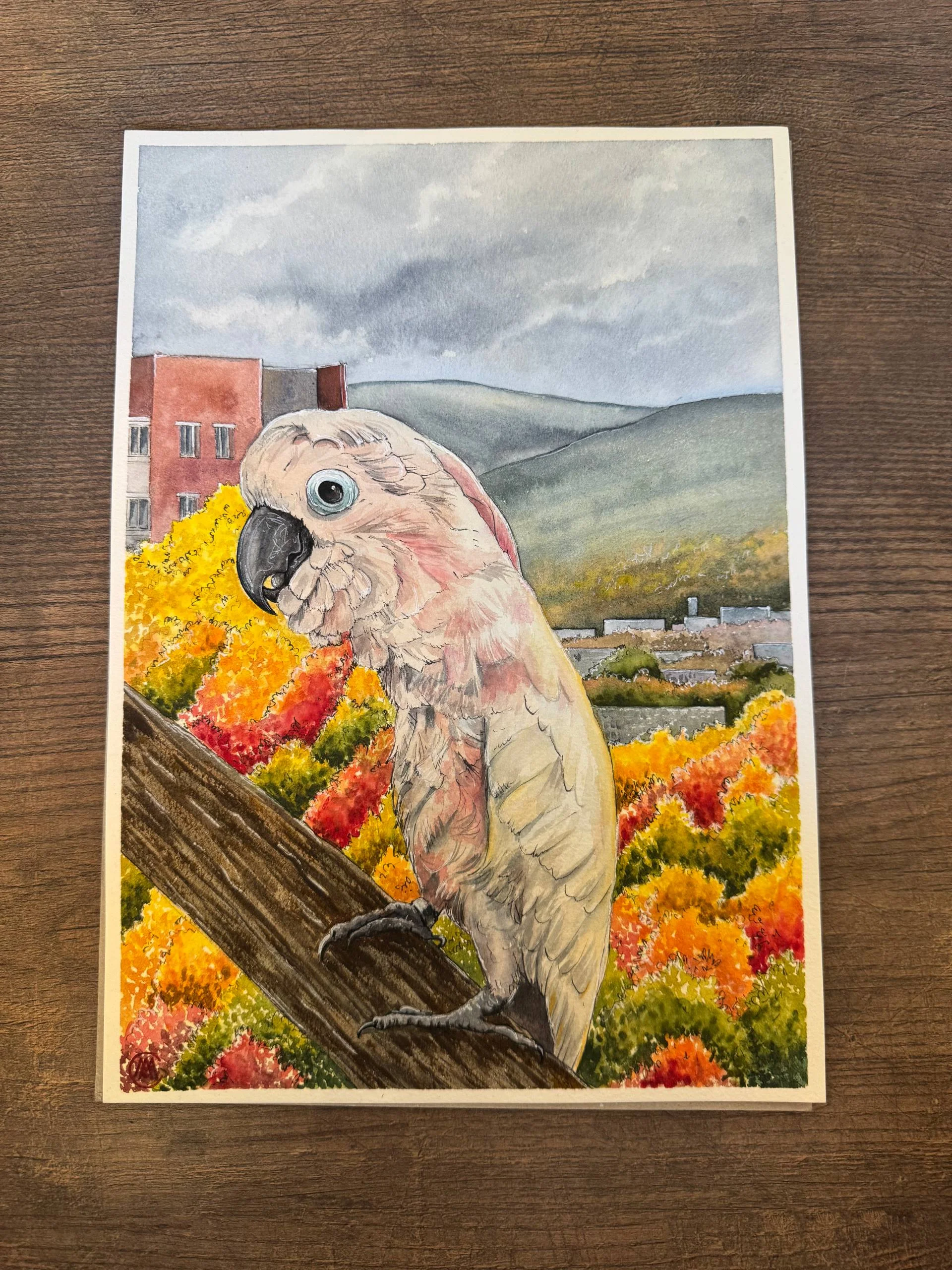 Мне тут подогнали картину с моим какаду