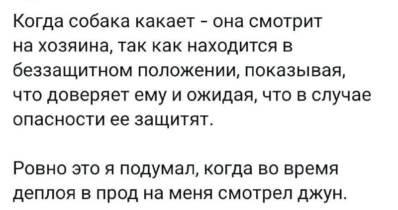 Джуны в чате, вопрос к вам: все так?