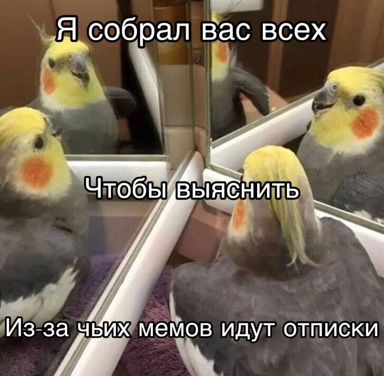 Гайз, помогайте понять!