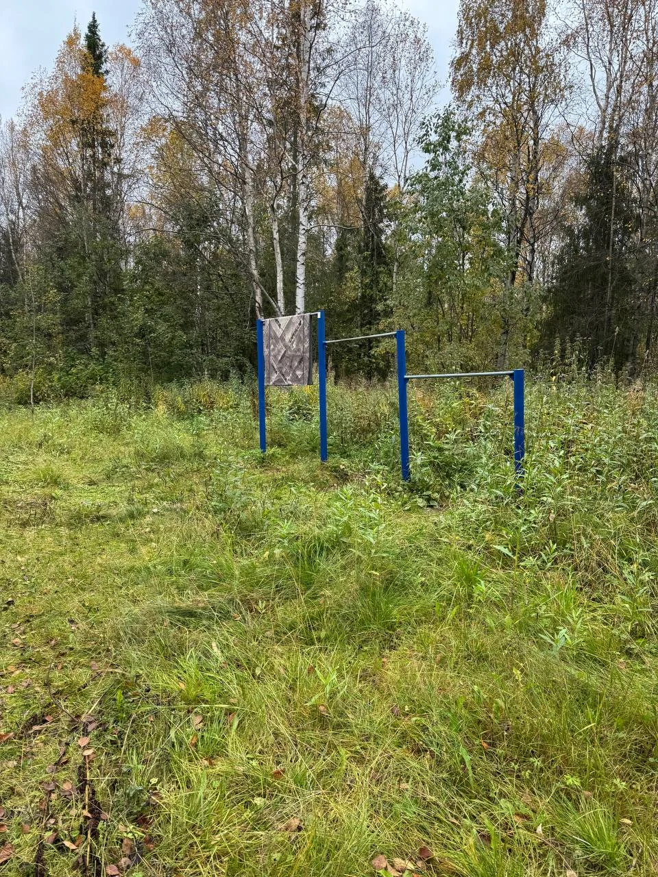 Подошел на турничках повисеть, а тут…