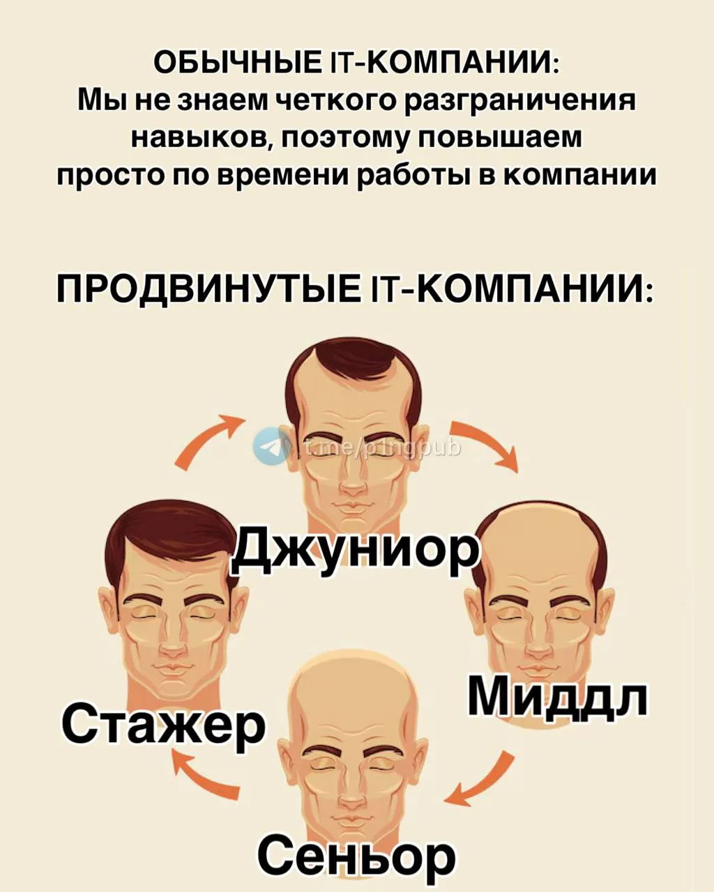 Сеньоры (и сеньориты), как прическа?