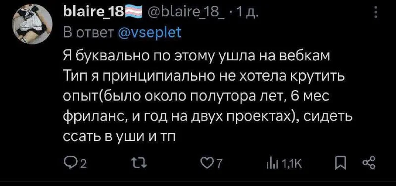 Вот так IT и теряет девушек, программирующих на Раст (если судить по флагу)