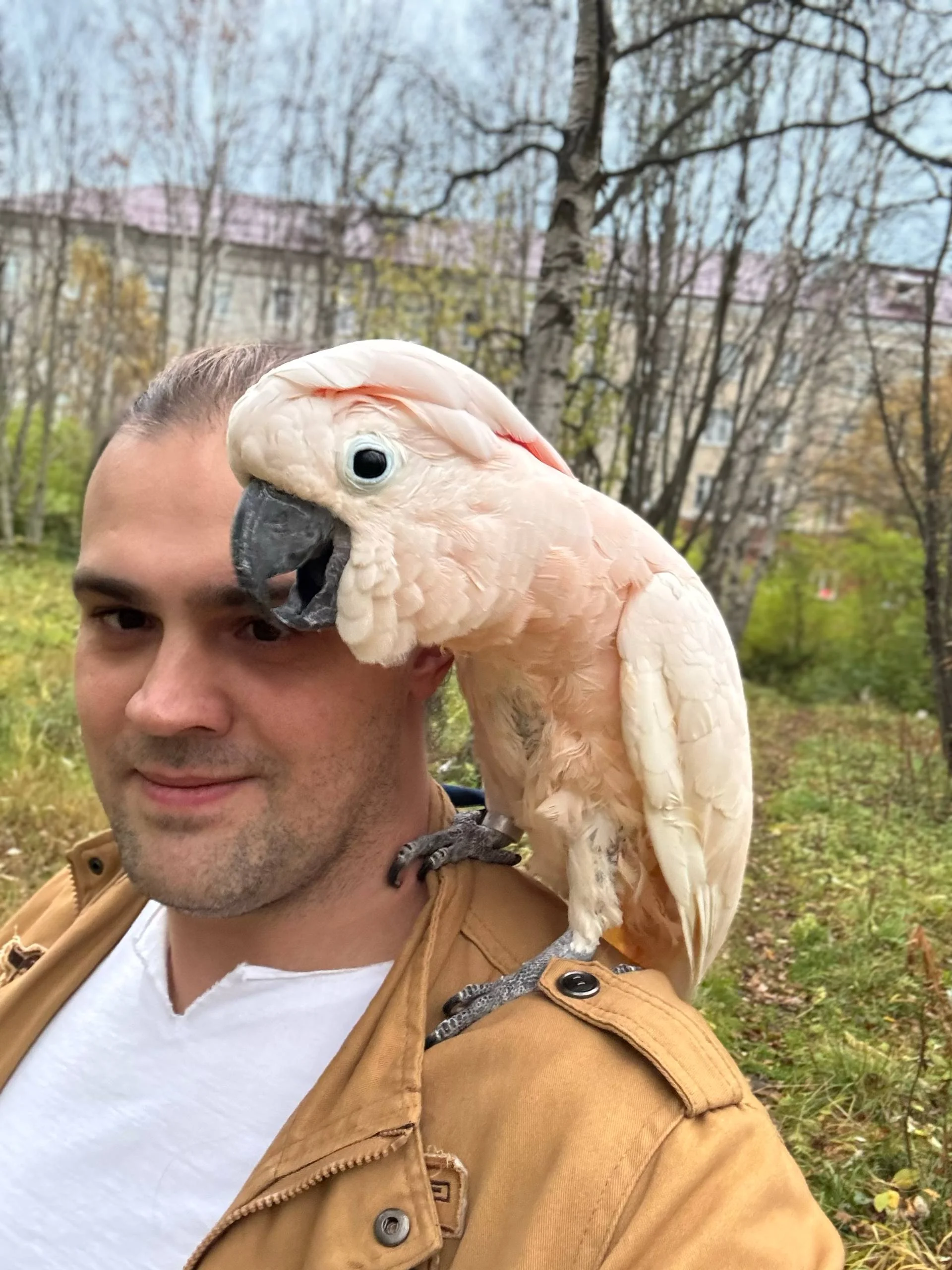 Многие могли заметить, что несколько месяцев не было фоток с зала, что для та...