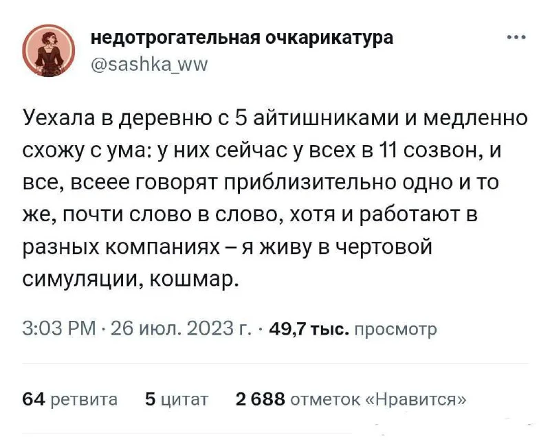 В деревню с 5 айтишниками?