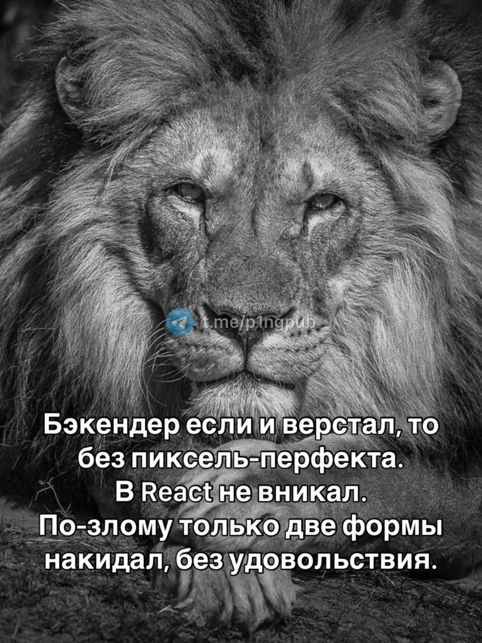 Как-то так я вчера себя успокаивал, когда делал сайт-зеркало для этого канала