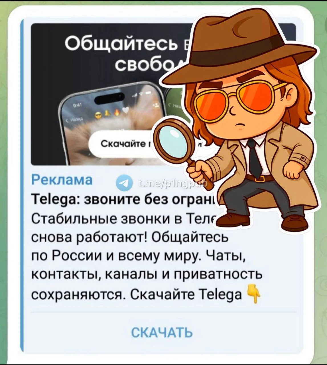 Telega: что вы хотели знать, но боялись спросить