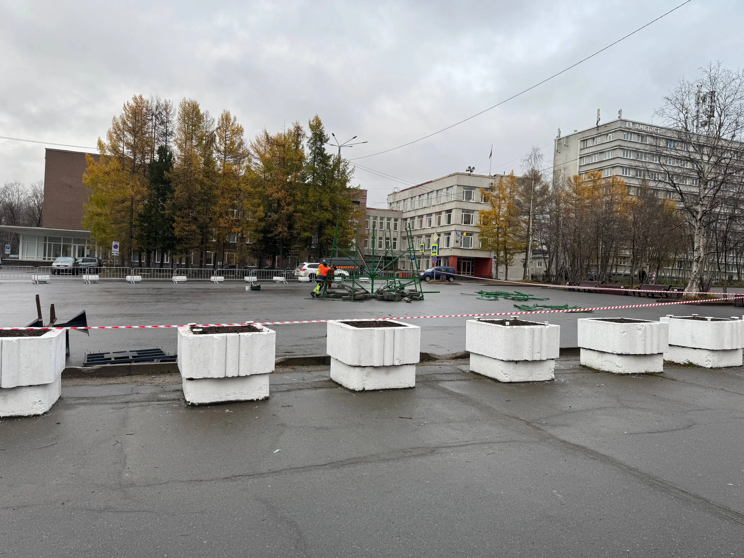 А у нас уже елку собирают