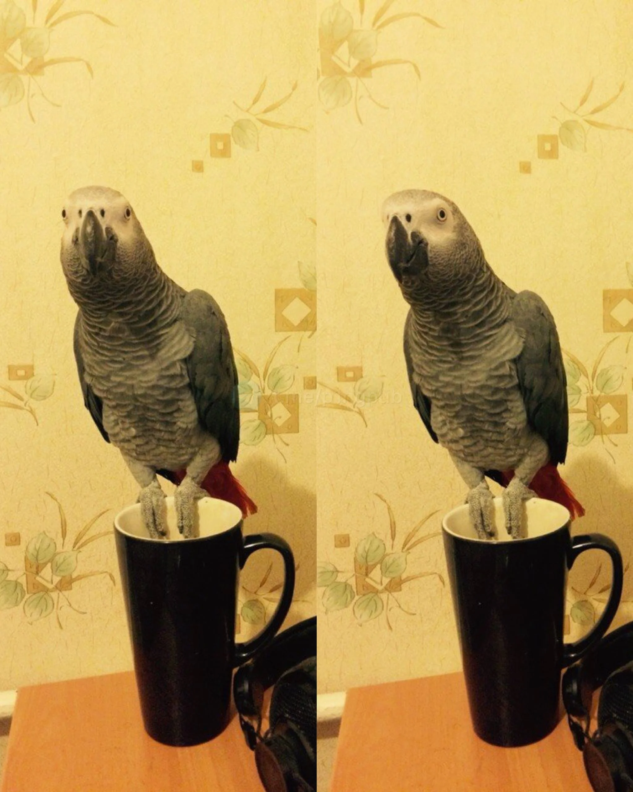 Внимание, вопрос знатокам!