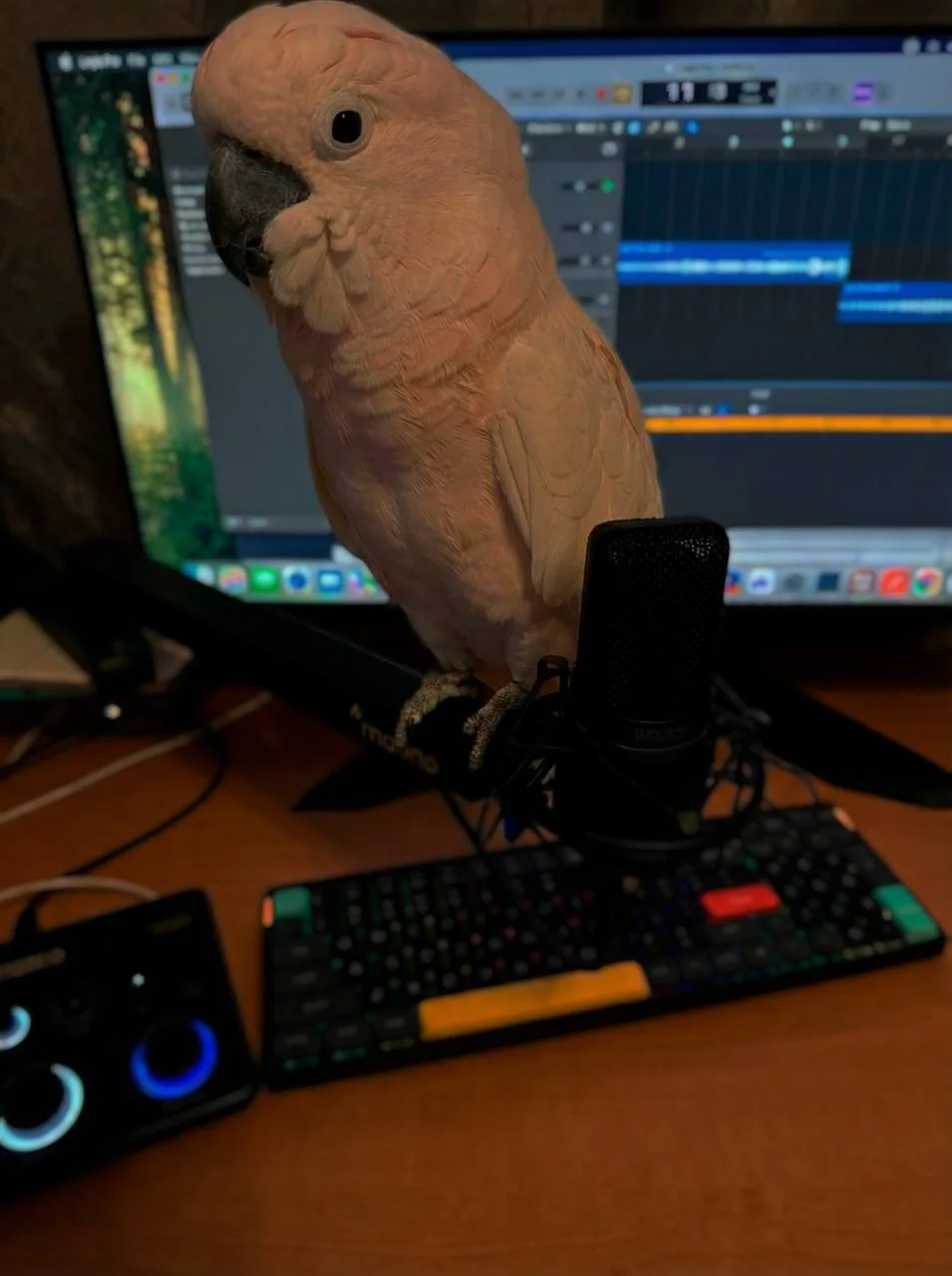 Бэкстейдж записи сегодняшнего подкаста