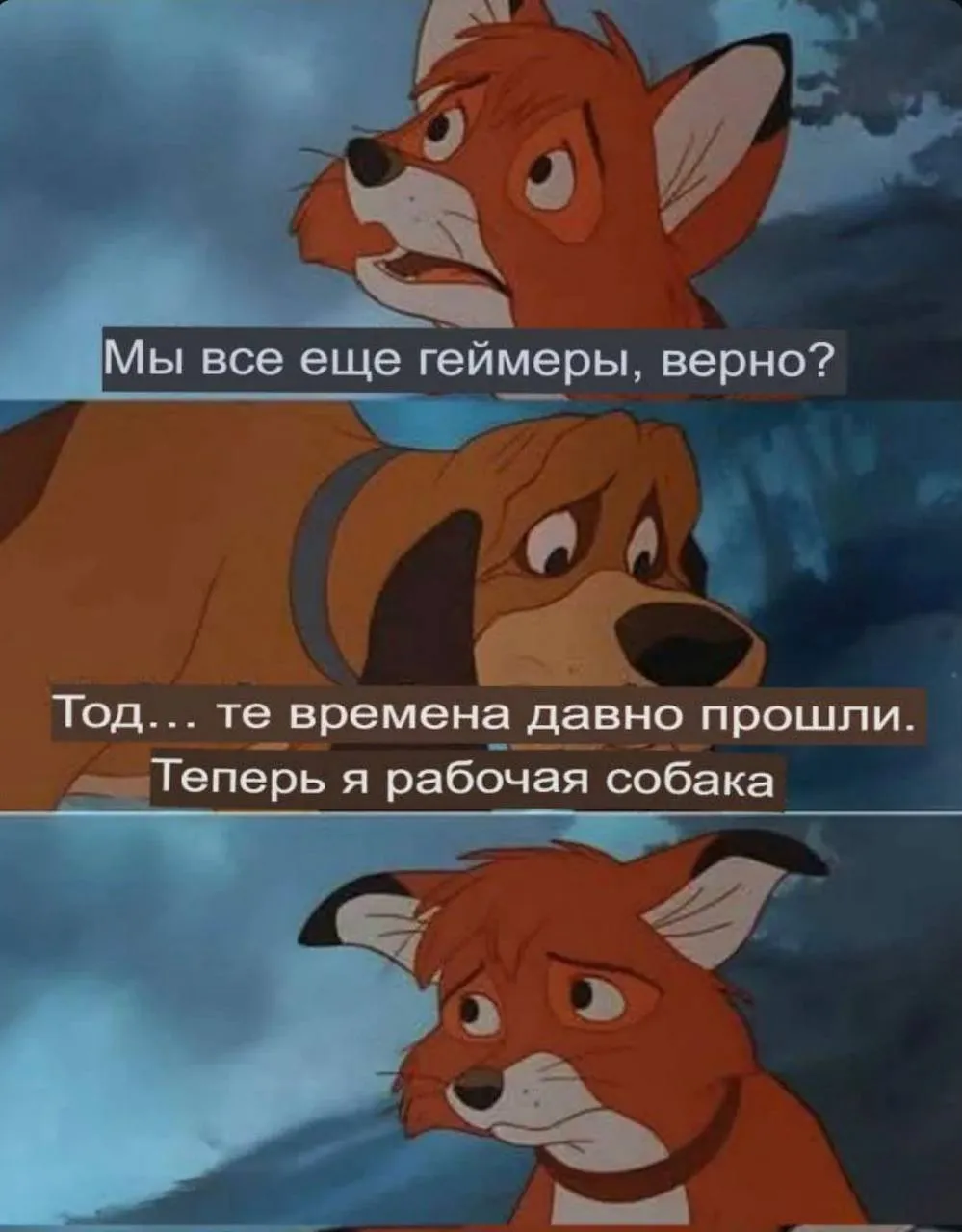 Я все еще считаю, что те, кто добровольно бросил играть в компьютерные игры «...