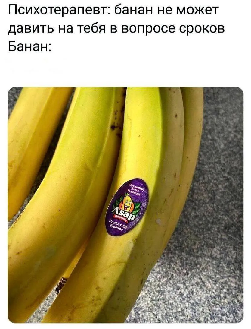 Только захотел переключиться с продалбываемых дедлайнов, как в личке уже мем ...