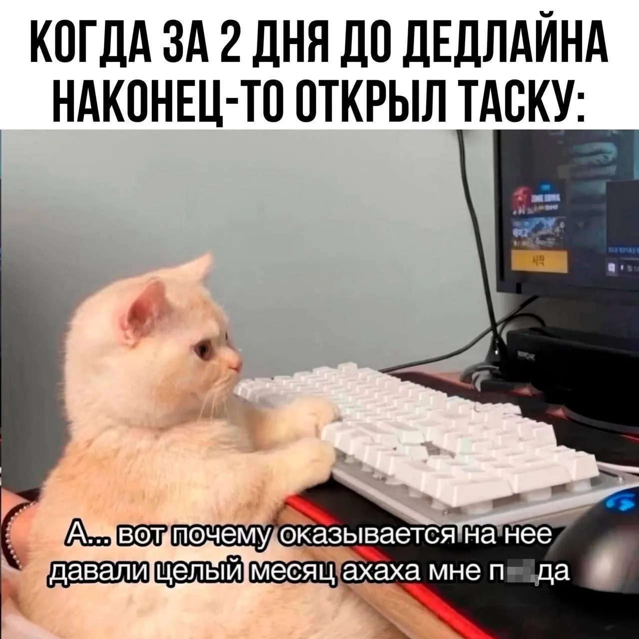 А вот мой сегодняшний (ну, почти)