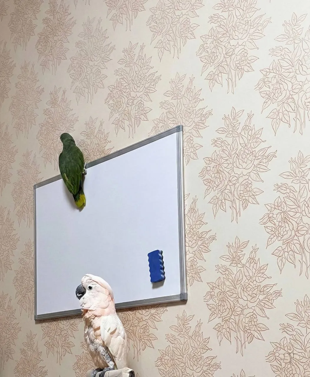 Стоило только стереть с маркерной доски архитектуру прошлого проекта, как тут...