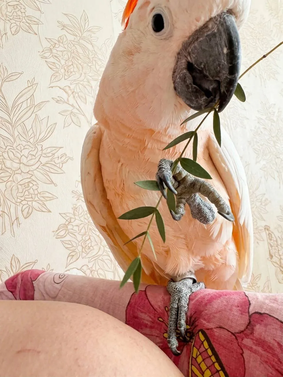 Посмотрите на этот манипулятор промышленной мощности! Сразу навевает воспомин...