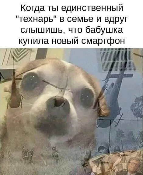 Ладно, бабушка