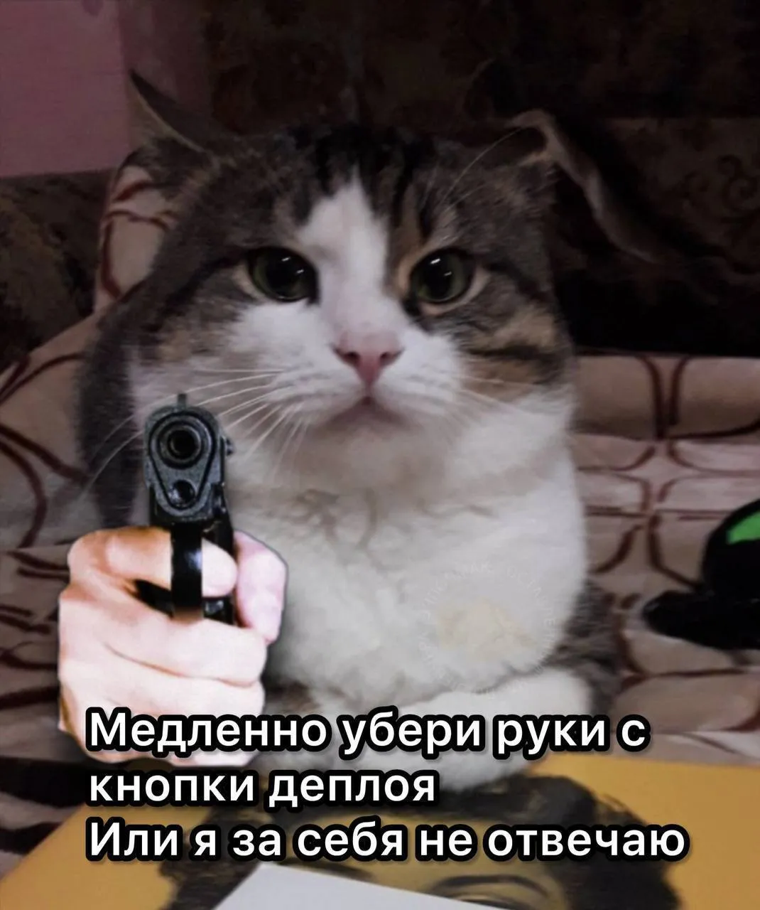 Ну и пятница, гайз!