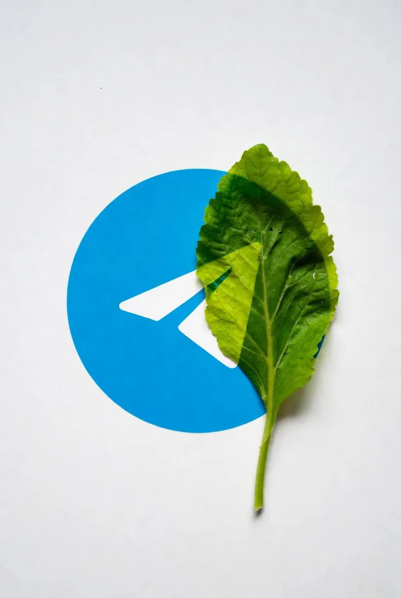 Гайз, а у одного меня сегодня markdown в клиенте телеграм стал при сохранении...