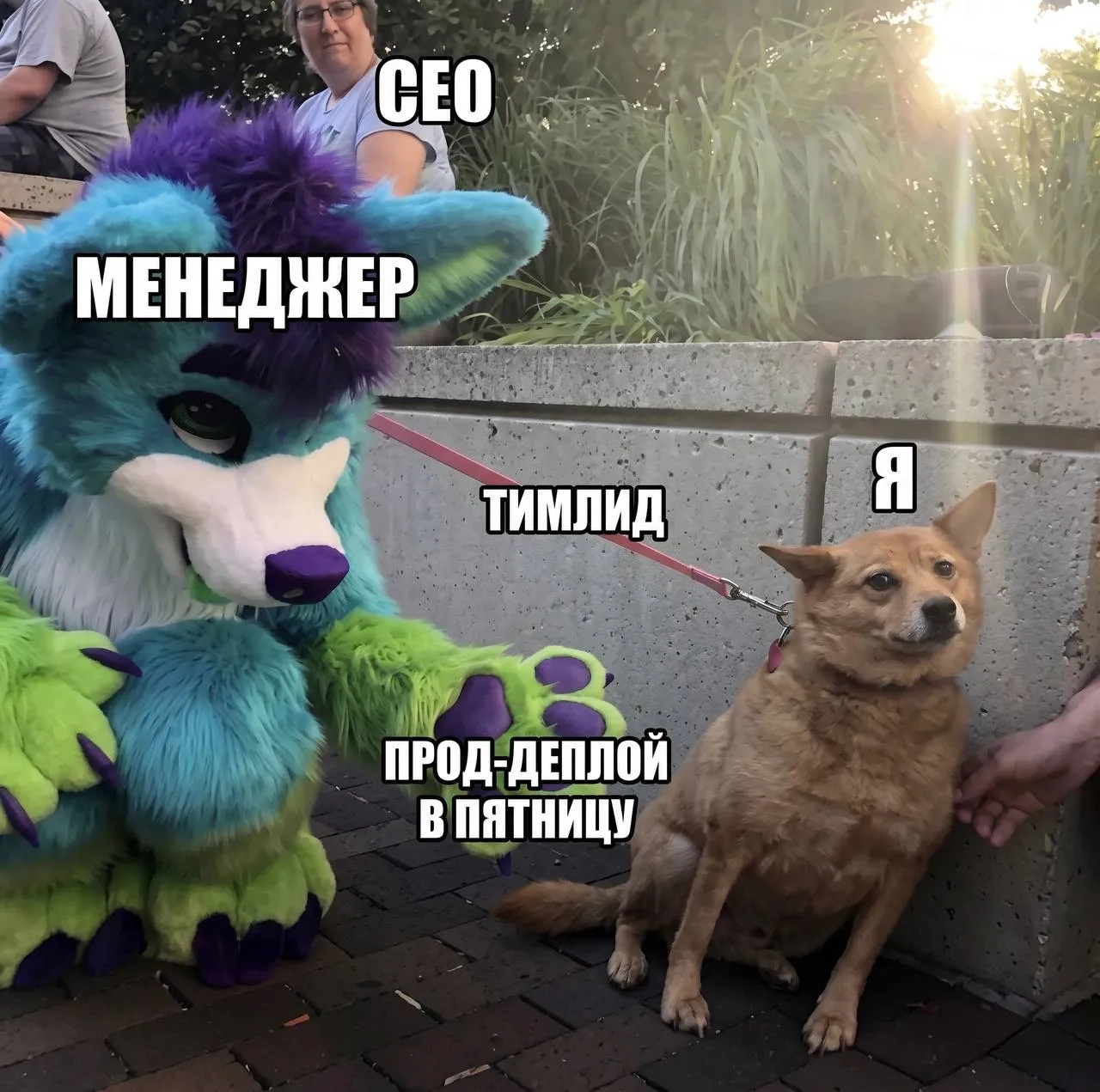 Пятница, гайз!