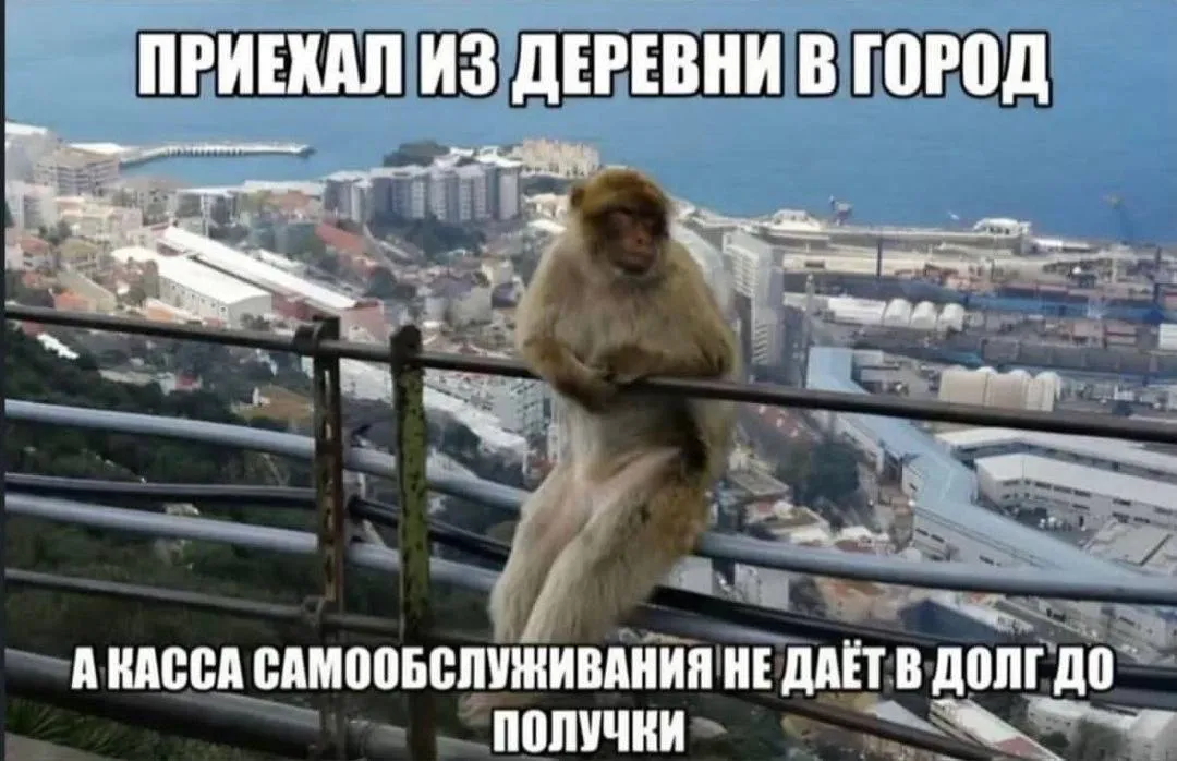 Вот поэтому магазины полного самообслуживания (без кассиров совсем) до сих по...