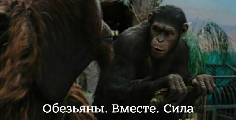 Гайз, а мы опять в дайджесте федерального канала