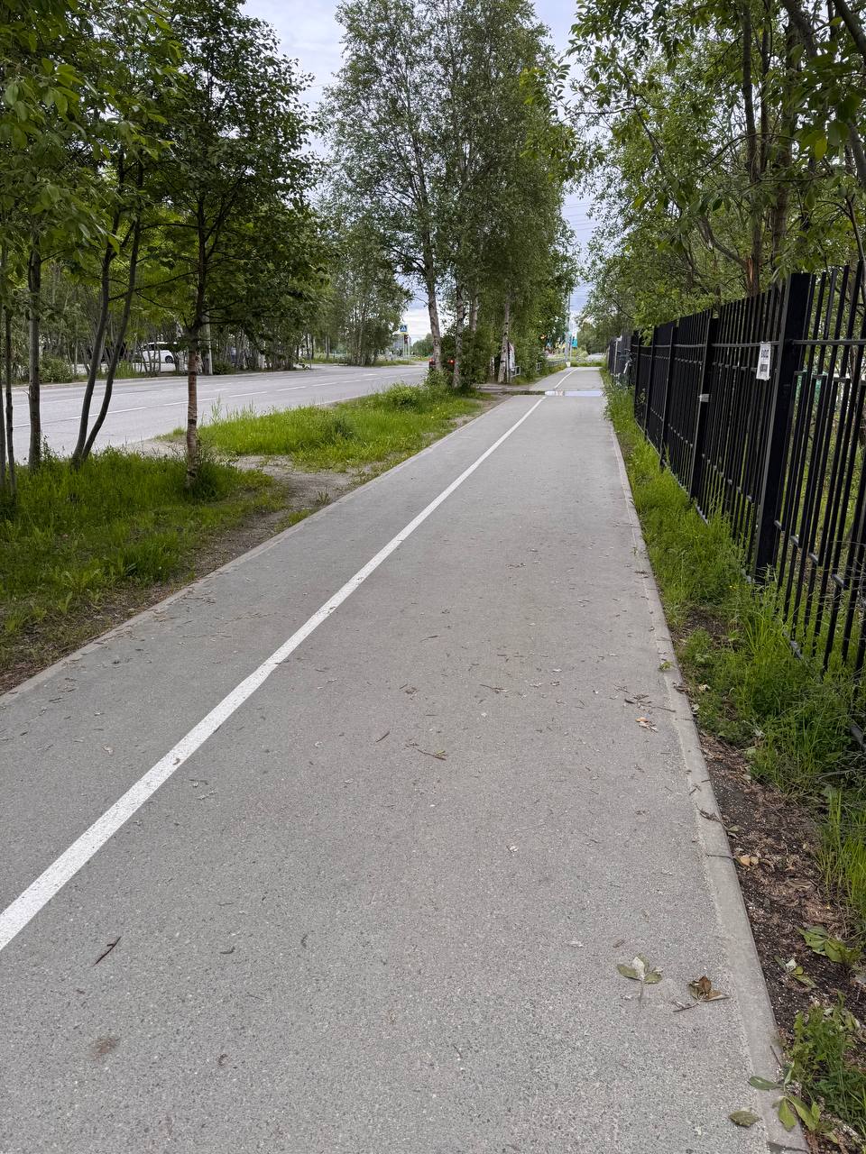 Дорогая Администрация Апатитов, я вас люблю, конечно, но