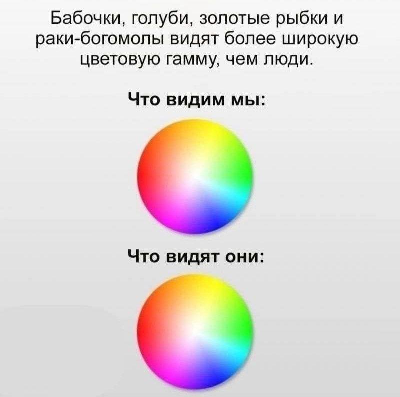 Гайз, для некоторых это, конечно, не новость, но вспомнилась история.