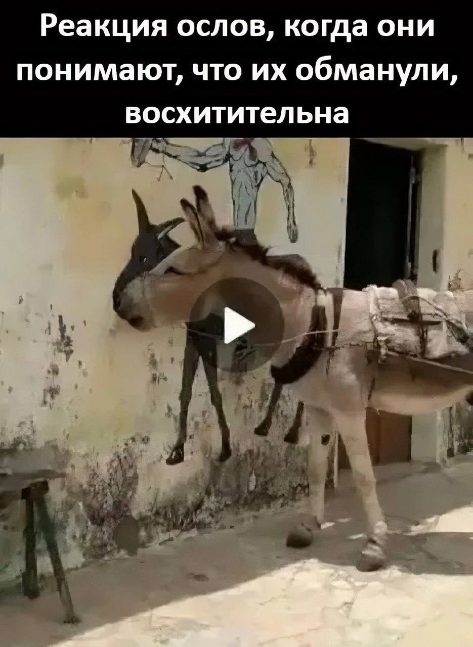 Доброе!