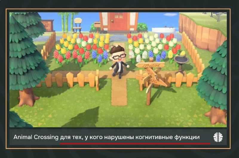Играл в Animal Crossing, когда она была на пике популярности.