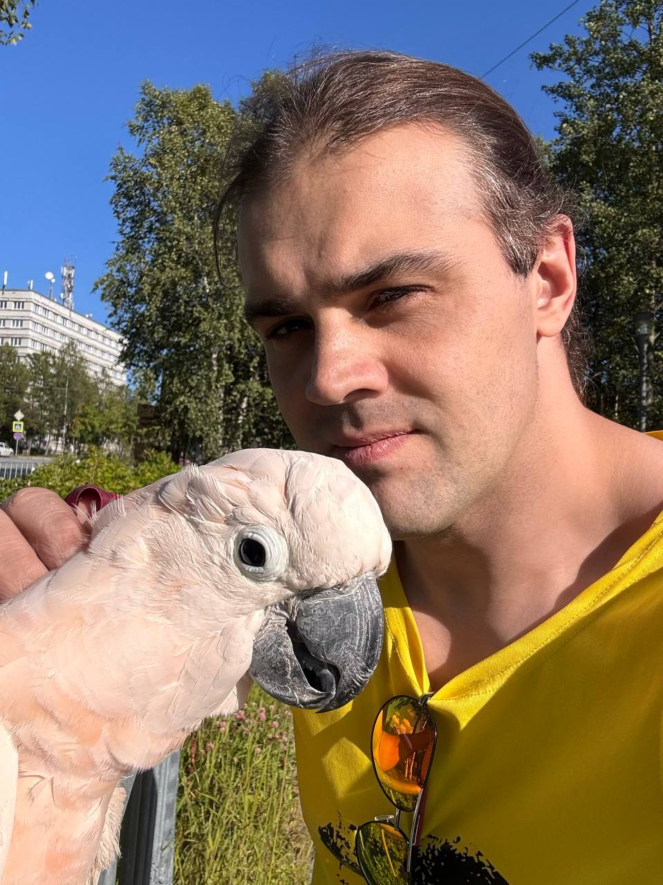 В общем, вот вам пост, который точно не противоречит никакому постановлению г...