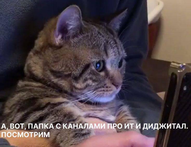 Гайз, мы тут снова попали в папочку, о которой я вам имею рассказать.