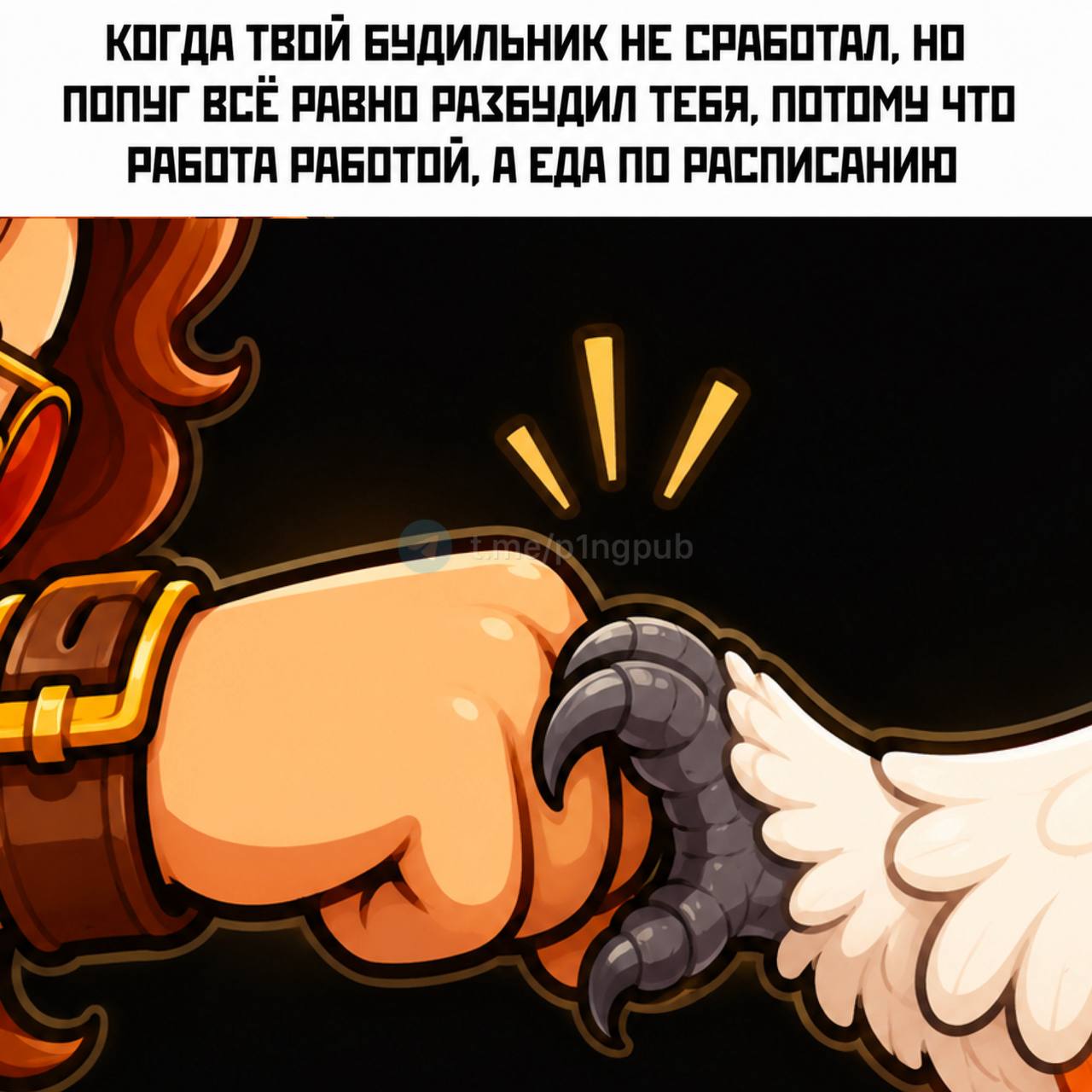 Почему я почти не ставлю будильник?  Я встаю с первыми попугами