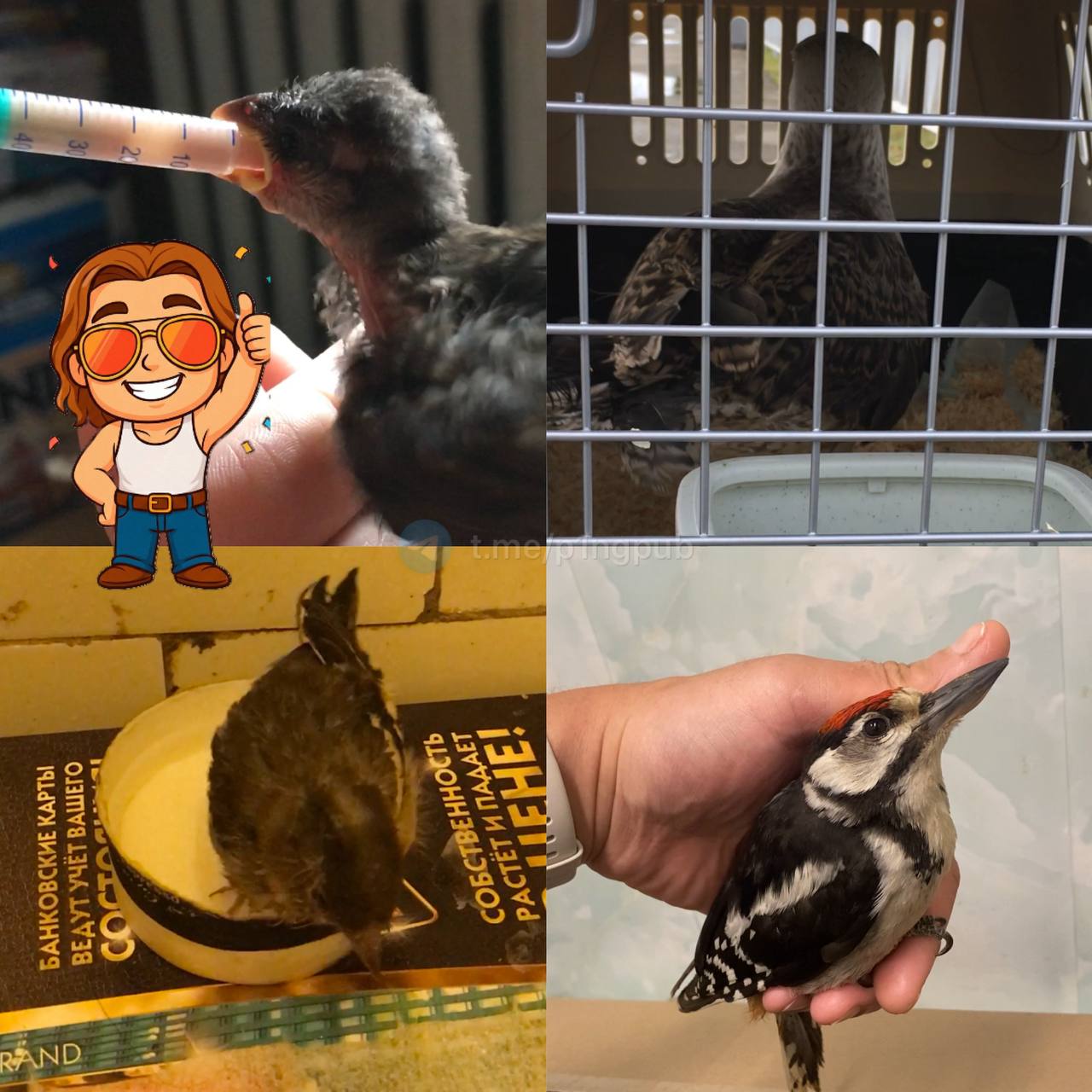 Фото 4