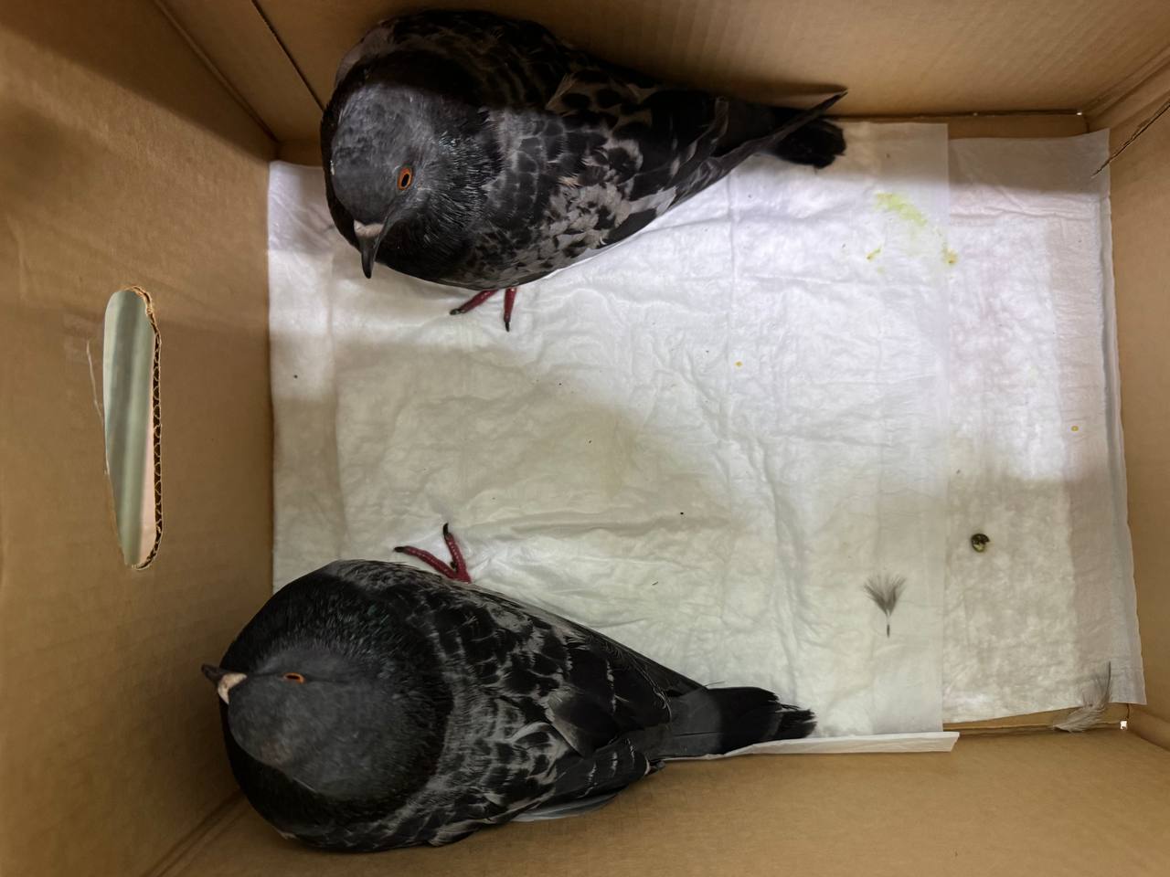 Фото 1