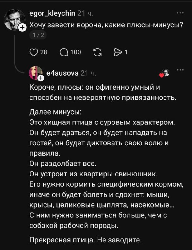 Доброе!